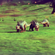 Illustration for article titled No Mans Sky In Screenshots, Part 3
